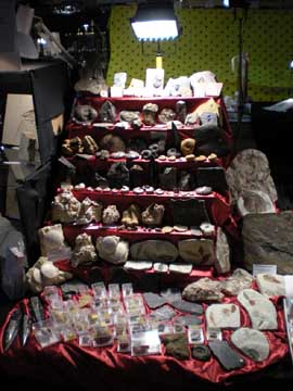 Messestand FossNet Fossilien