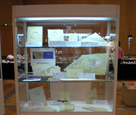 Sonderausstellung Vitrine