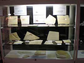 Blick in die Vitrine
