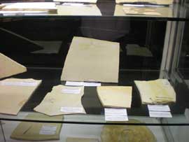 Fossile Insekten und Krebse