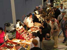 Stand von FossNet Fossilien