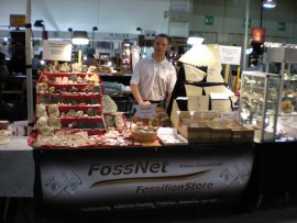 Fossilien Stand von FossNet