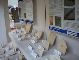 Blick in die Sonderausstellung