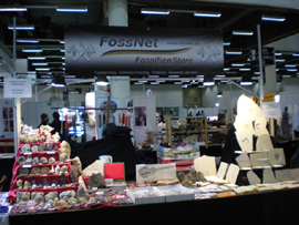 Fossilien Stand von FossNet