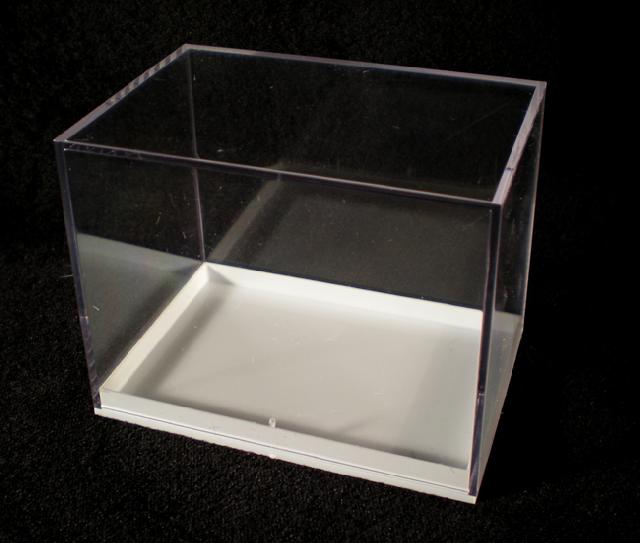 Plastikbox (Groß) - Fossilien - FossNet