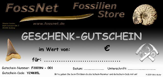 FossNet Geschenk-Gutschein - Bild © FossNet FossilienStore