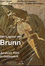 Die Lagune von Brunn - Juassic Park in Ostbayern - Bild &copy; FossNet FossilienStore