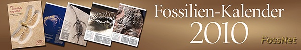 Fossilienkalender 2010 - Der unendliche Augenblick